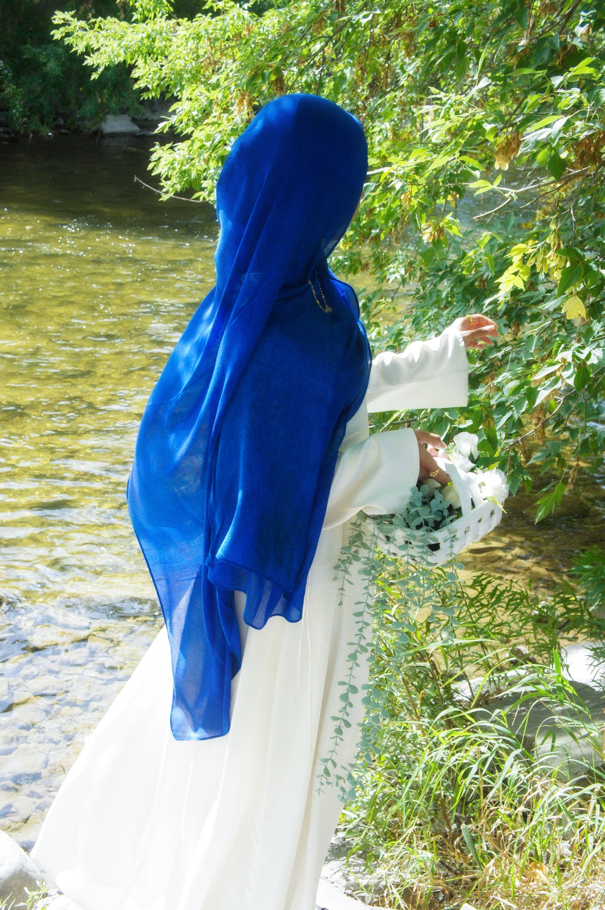 Bleuet