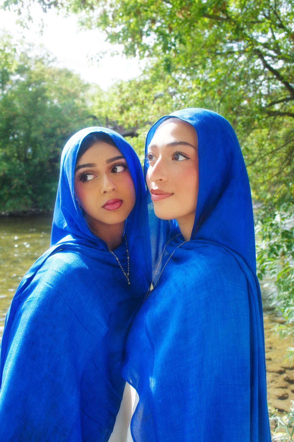 Bleuet