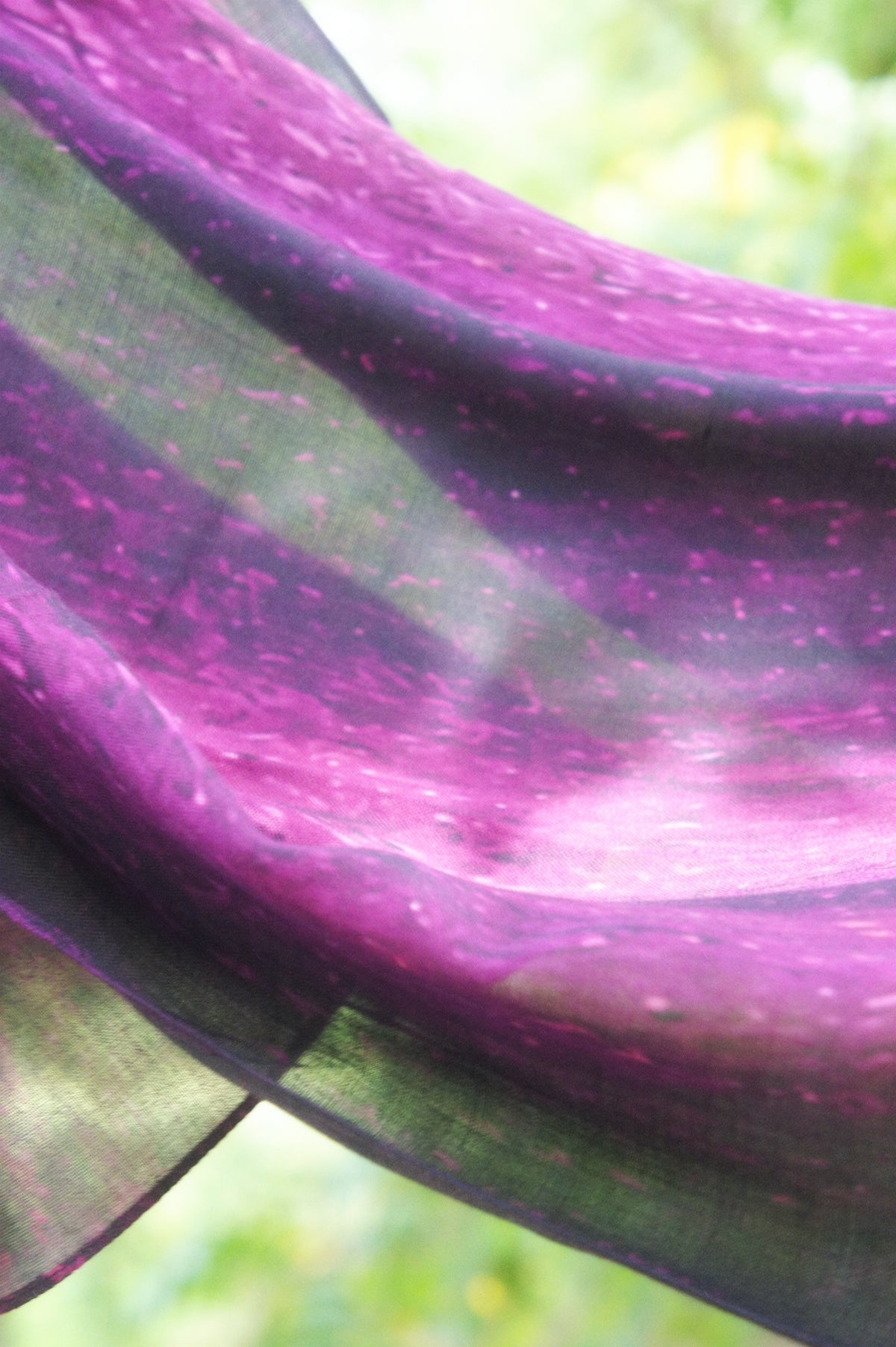 Fig Reverie
