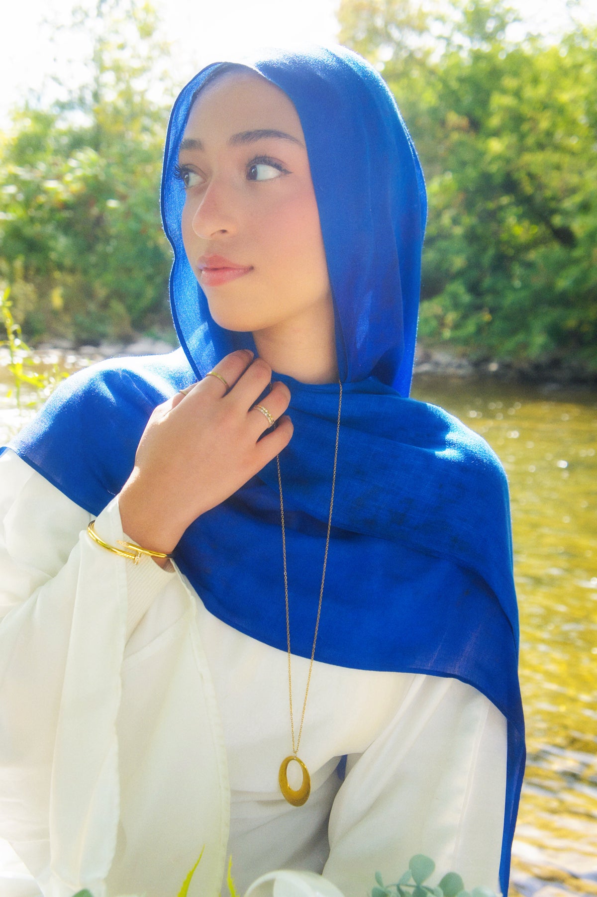Bleuet