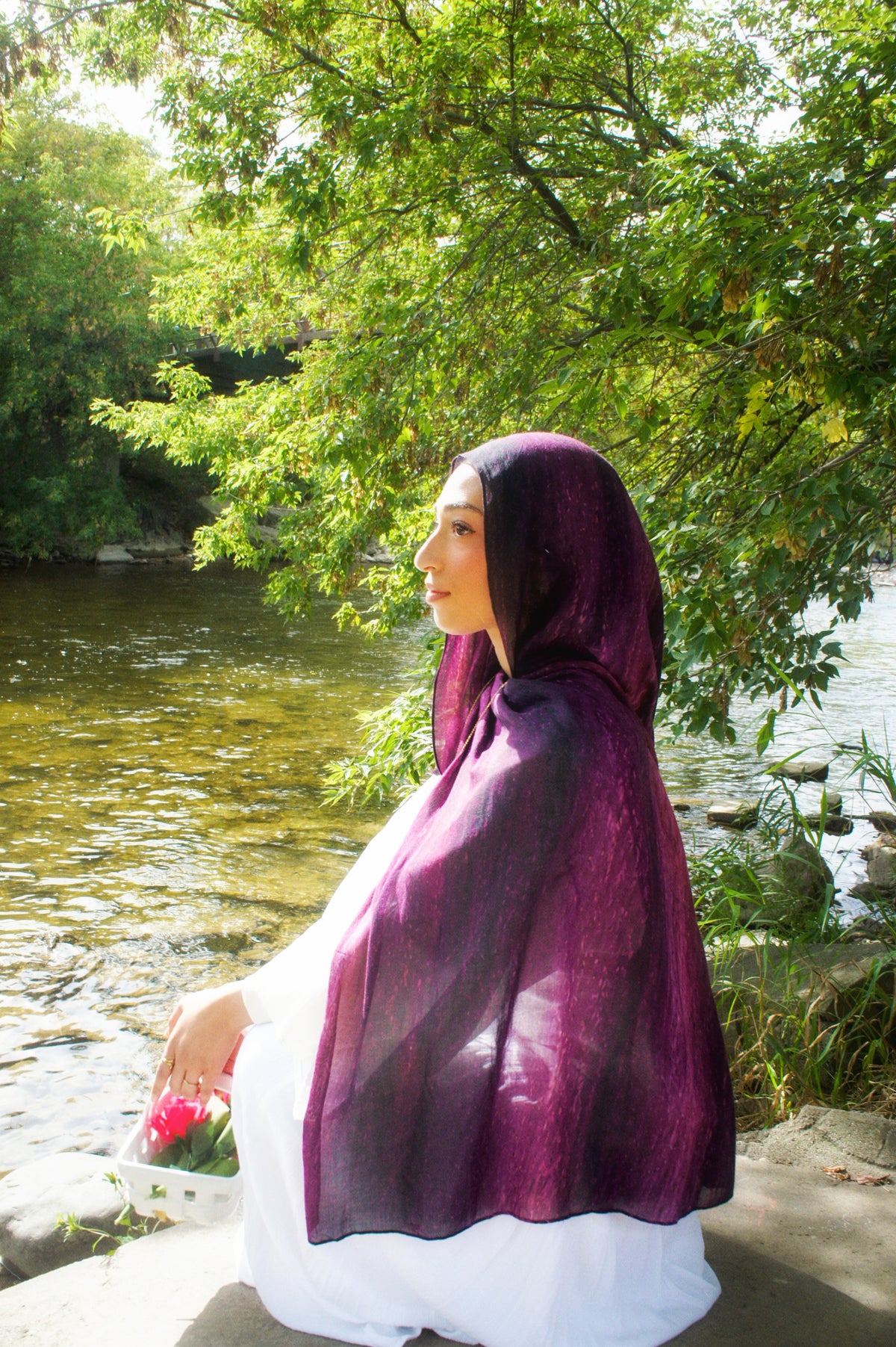 Fig Reverie