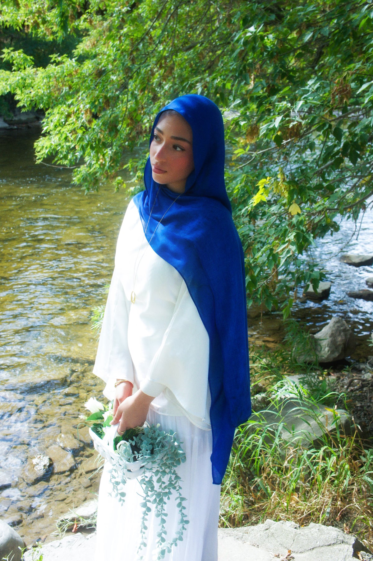Bleuet